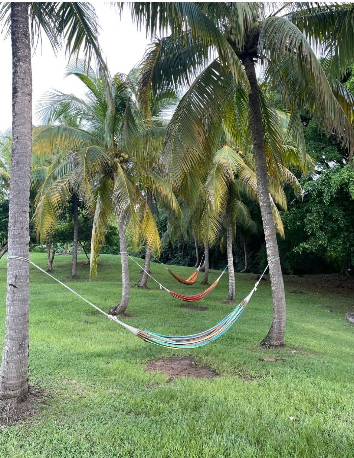 Couleur Caraibes-Cocobeach Martinique Pierre Et Vacances Sainte-Luce Exterior photo